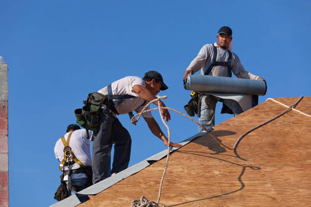 Best Emergency Roof Repair  in Curwensville, PA