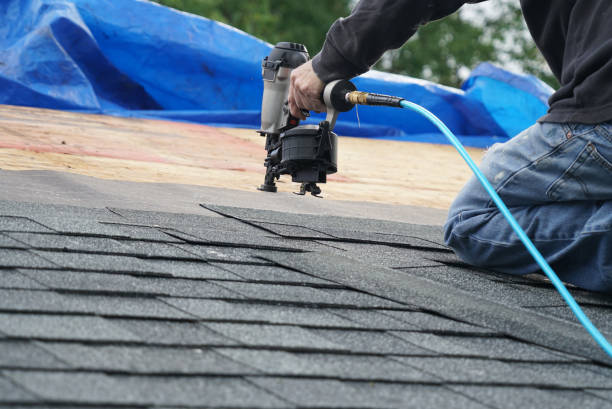 Best Storm Damage Roof Repair  in Curwensville, PA
