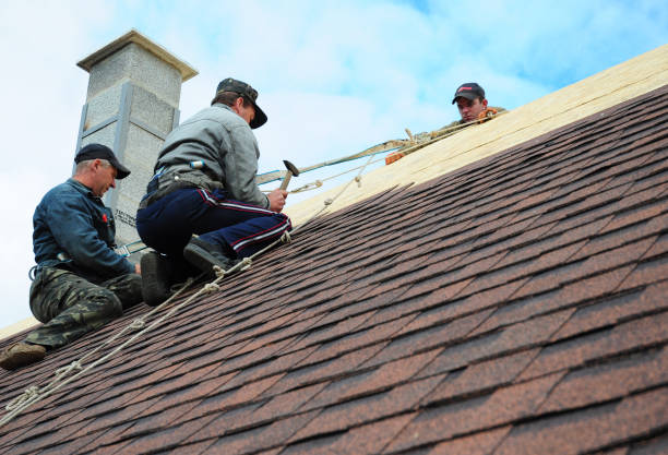 Best Gutter Installation and Roofing  in Curwensville, PA